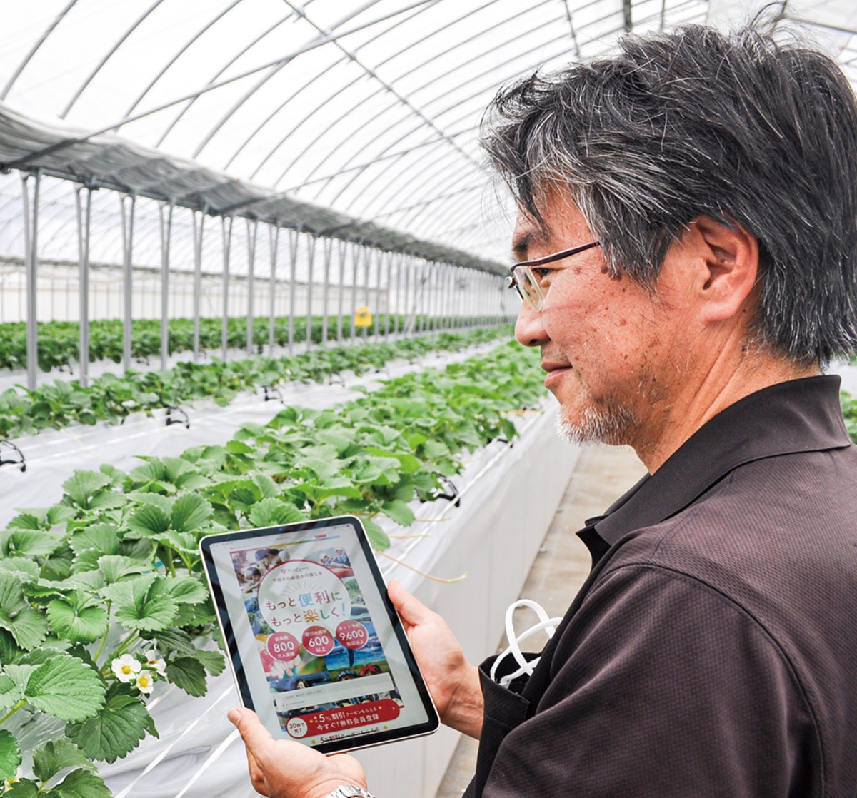 いちご狩りは本日も大盛況でした🍓︎💕︎ 楽しそうな皆さんの笑い声が励みになります✨️直売所営業日.営業時間についてはプロフに固定のカレンダー参照ください😊 電話 0767-28-4115 お電話は営業時間内にお願い致します😌 お電話繋がりにくい場合はこちら