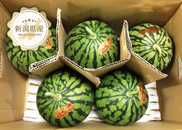 298,600点を超えるスイカのストックフォト、写真、そしてロイヤリティフリーの画像 - iStockかき氷, 夏, 風鈴