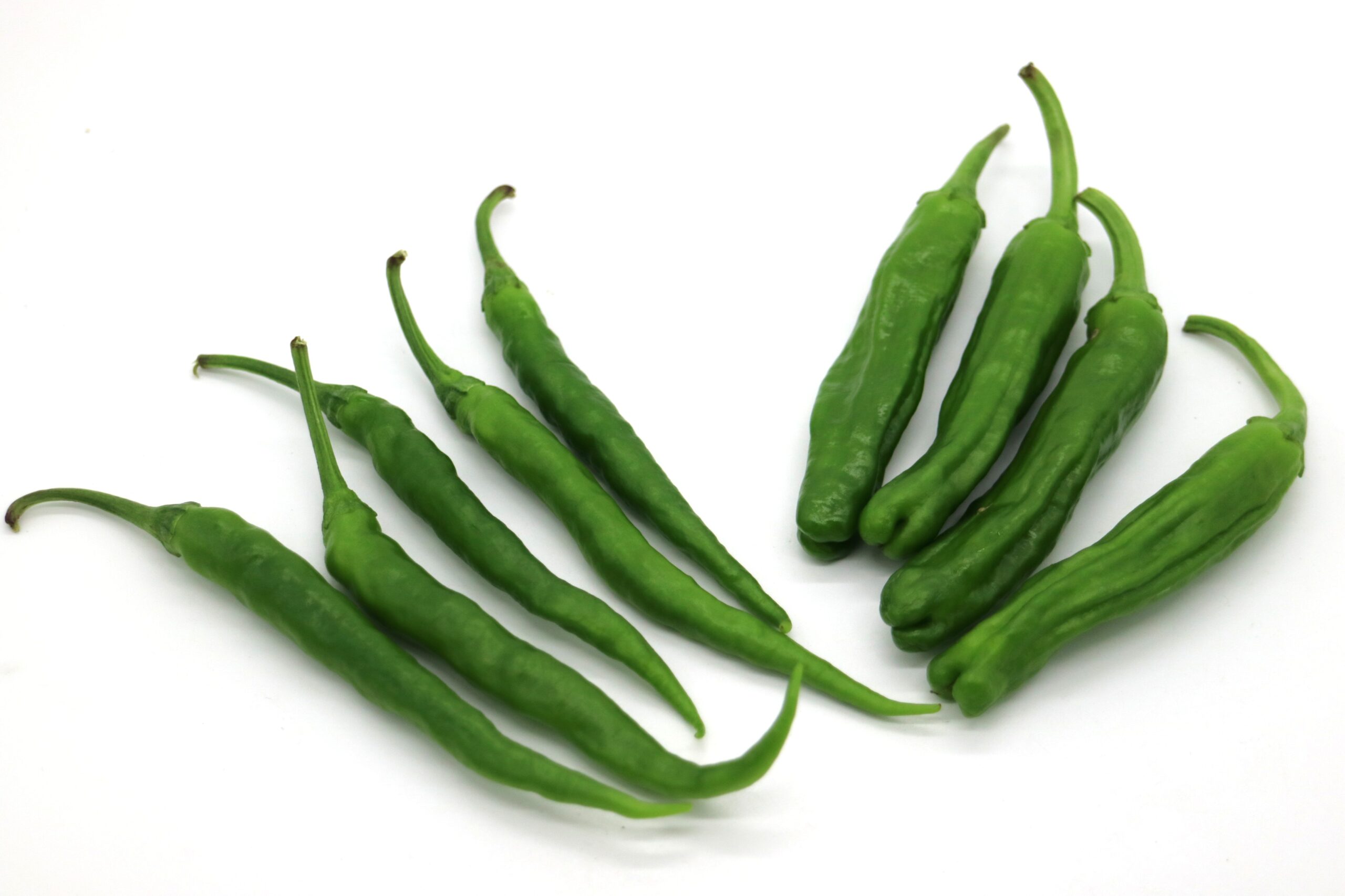 5分でできる！ 土佐甘とうのおかか炒め