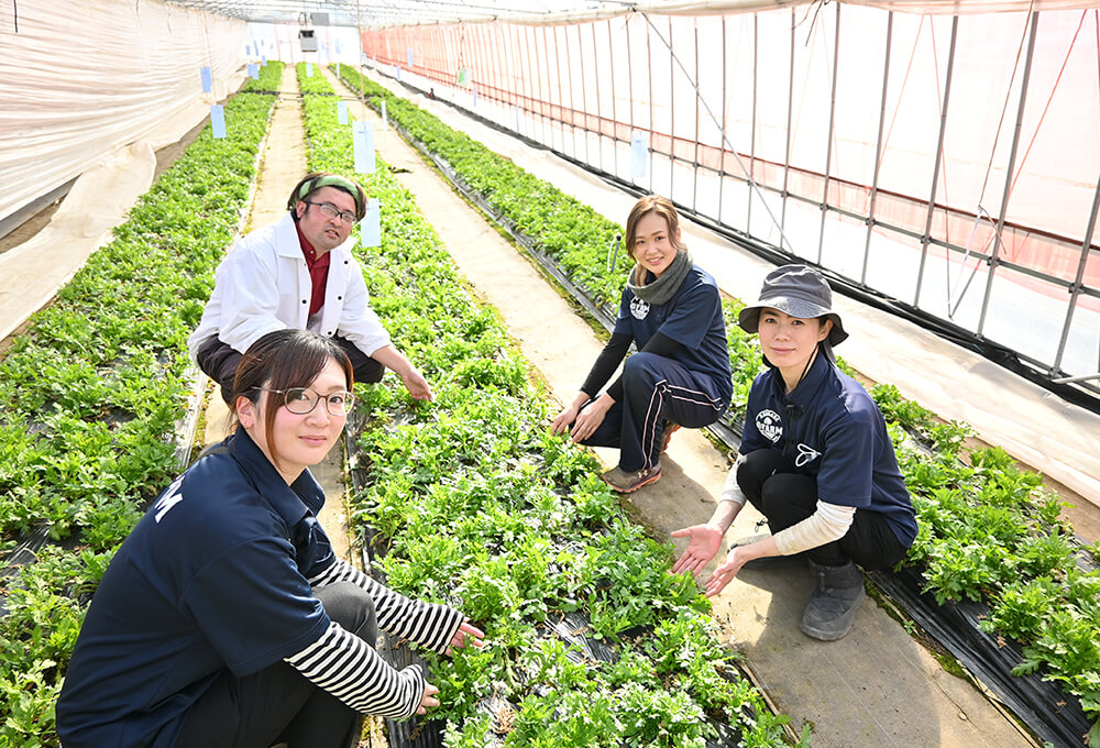 関東 いちご狩り さつまいも掘り子供の遊び場・お出かけスポットいこーよ