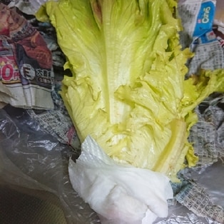 サニーレタスの保存方法 変色防止とえぐみ取りも出来るやり方の紹介