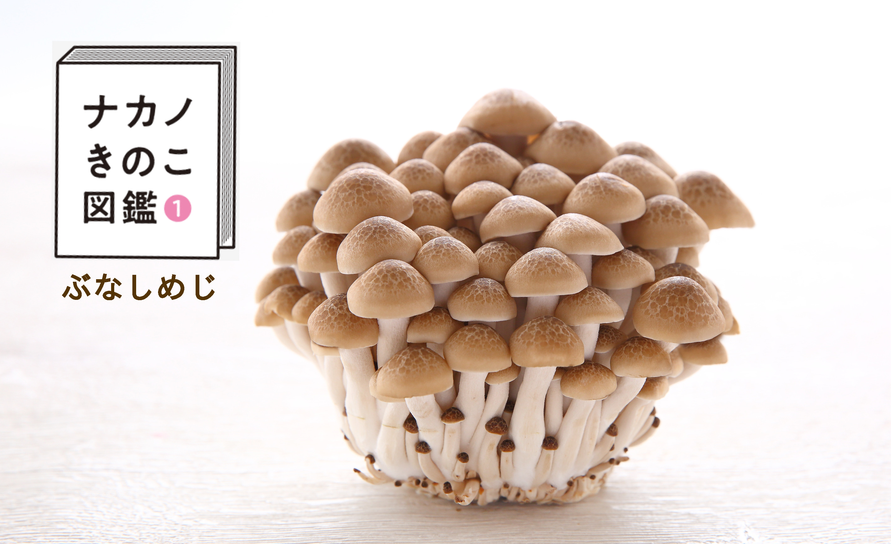 徹底解説 「しめじ」と言われたきのこVS現在の「しめじ」