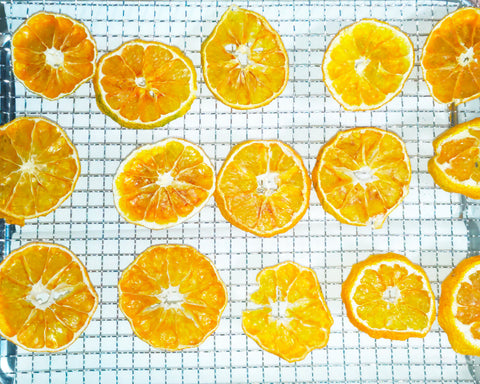 ドライフルーツアラジン公式レシピサイト