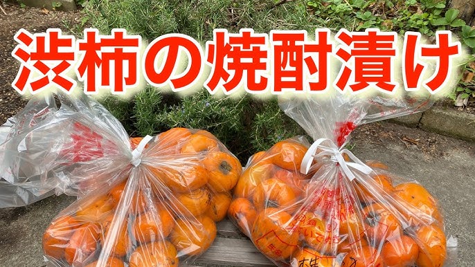 柿のしぶぬき 焼酎 宝酒造 柿のしぶぬき職人 600ｍｌ 47度 ギフト プレゼント 4904670000024: ワイン紀行 - 通販 -Yahoo!ショッピング