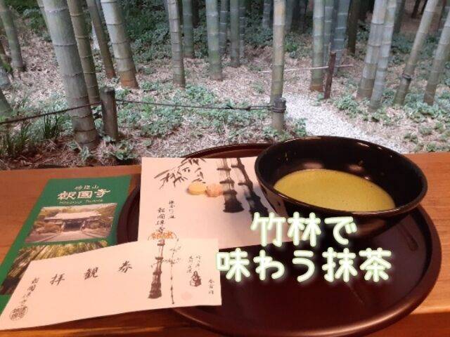 鎌倉 報国寺 でお抹茶を楽しんできました