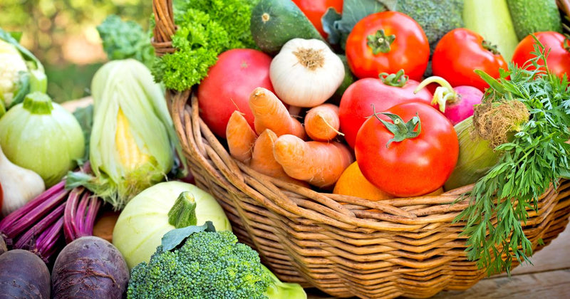 春から育てられる！春植え野菜人気ランキング野菜の育て方・栽培方法