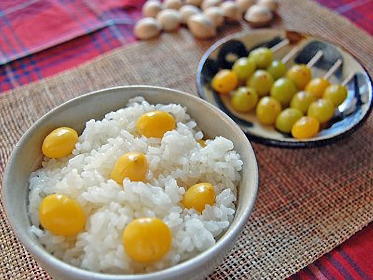 ぎんなんの食べ方、冷凍保存の仕方。ぎんなん割り部の活動。田中安良里の庭ノート