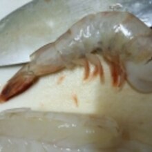 ガッテンの海老の焼き蒸しの作り方 背開きのエビで絶品！ うまみたっぷり＆ぷりぷりの仕上がりに- YouTube