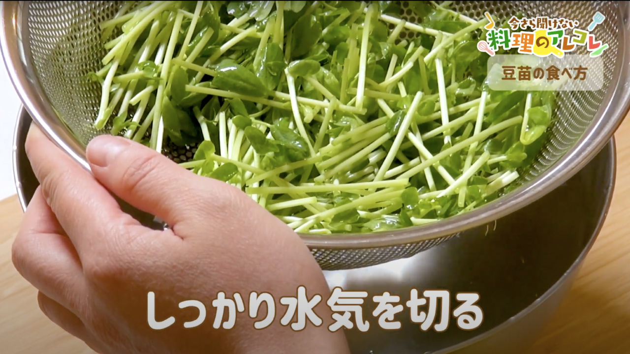 伸びすぎた豆苗を美味しく簡単に食べる方法