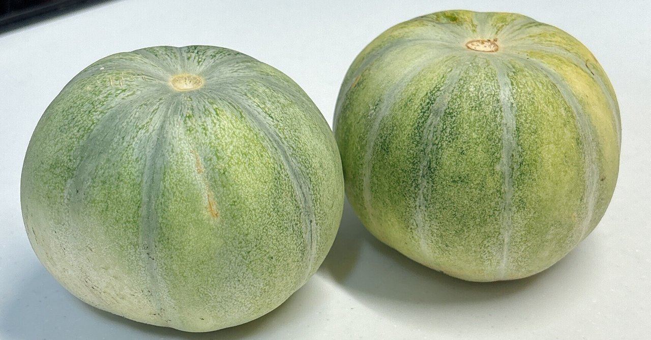 甘酸っぱい不思議な野菜。きゅうりメロン。Let's Green Life