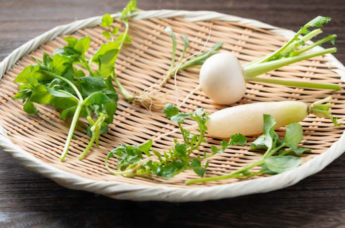 ノゲシ Sonchus oleraceus に初挑戦しました。 昔からよく目にしてきた雑草ではあるものの、ほんとにこんなのが食べられるのー？って感じでしたが美味しかったです✨かみごたえのあるシャキシャキ感 でも全然筋張らない と、レタス系の風味。 しかし苦味は相当強いので