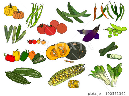 西洋カボチャと黄色南瓜 緑黄色野菜のフリー写真素材食材・料理の無料画像 フード・フォト 無料写真素材＞fd400234
