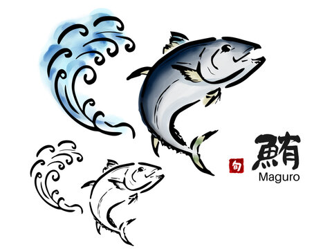 鮪 マグロパブリックドメインQ：著作権フリー画像素材集