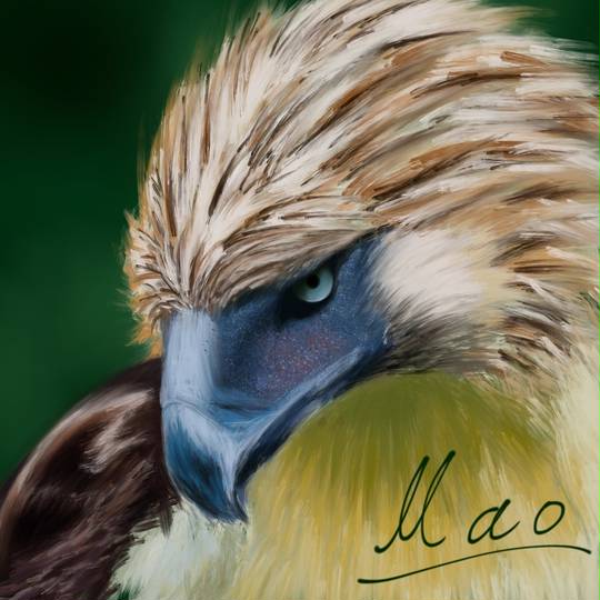 焼きたてのフィリピンの食べ物の写真：ゴトまたはルガウと呼ばれる食べ物、または選り抜きの肉の盛り合わせ写真素材2196969439Shutterstock