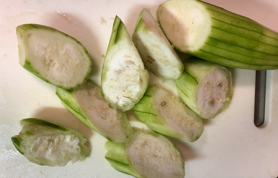 ヘチマの葉の裏側の蜜を探してみる : アジアン家族のゴールドコースト暮らし