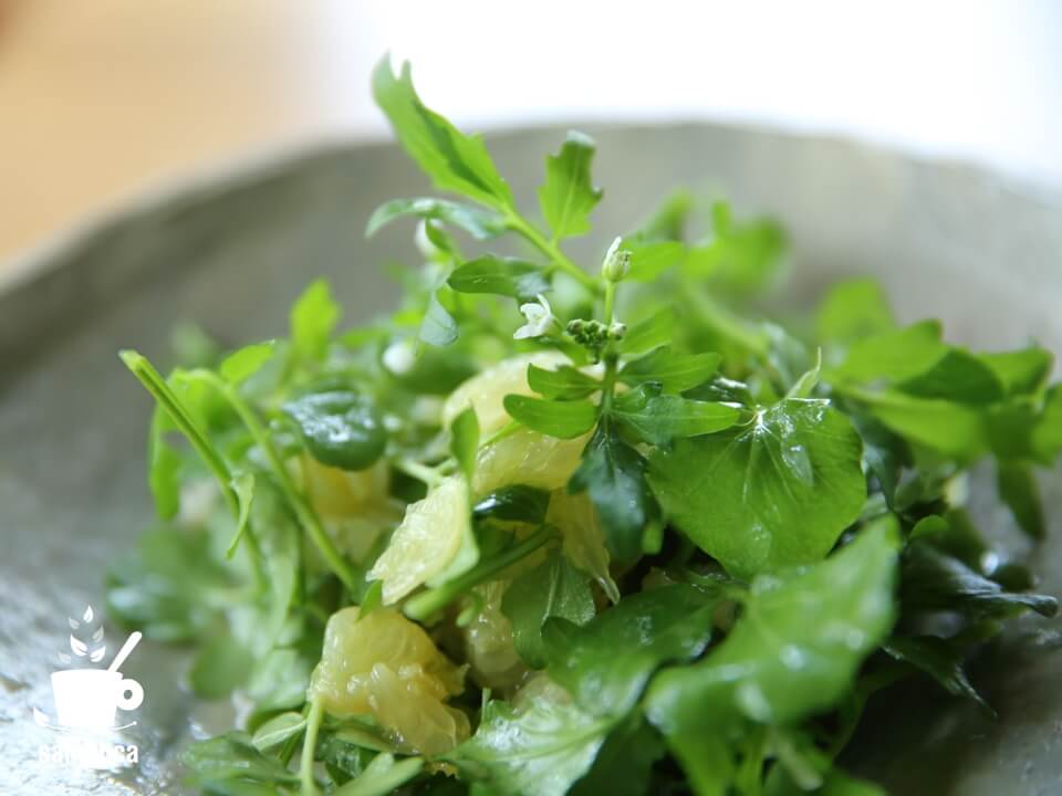 風立ちぬ のカストルプが食べるクレソンサラダのレシピ公開たかお農機店薪販売農機具修理マイヤーレモン通販クレソン通販