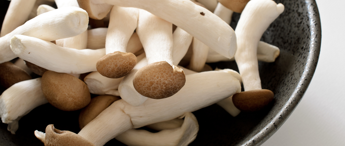 本しめじとぶなしめじの違い！品種・形状・栽培方法・流通量は？トリビアハウス