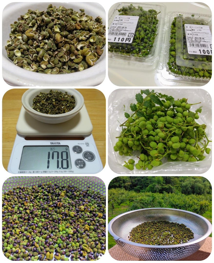 山椒を使いこなそう！ミニ講座&おすすめレシピPick Up! スパイス&ハーブ一覧S&B エスビー食品株式会社