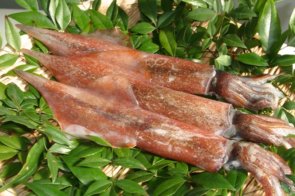 ２月食育 ①アソシエブログ