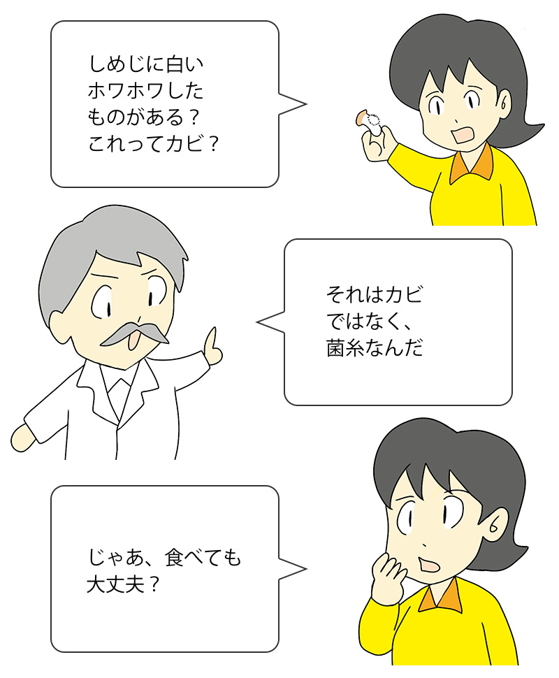 しめじの栄養と効果効能・調理法・保存法株式会社なにわサプリ