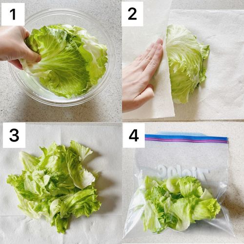 料理の幅が広がるレタスの冷凍保存傷みやすさをカバーする秘訣も！frozen by analyst.jp