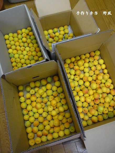 梅の追熟方法 by みたこぞうクックパッド簡単おいしいみんなのレシピが392万品