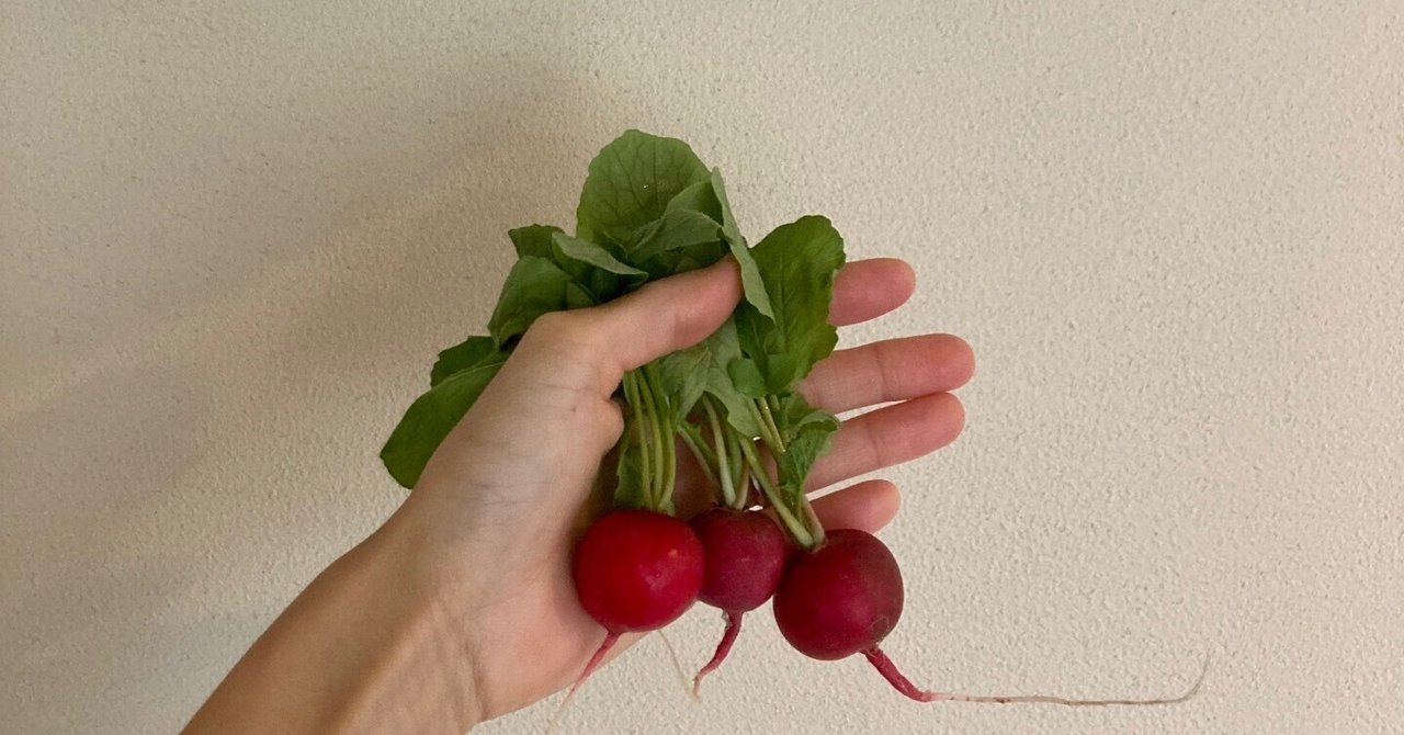 葉を使ってもう一品♪ ラディッシュの葉の胡麻和え