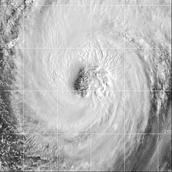 23周年記念 台風コロッケをカニクリーム コロッケにしてストゼロをキメるだけの動画