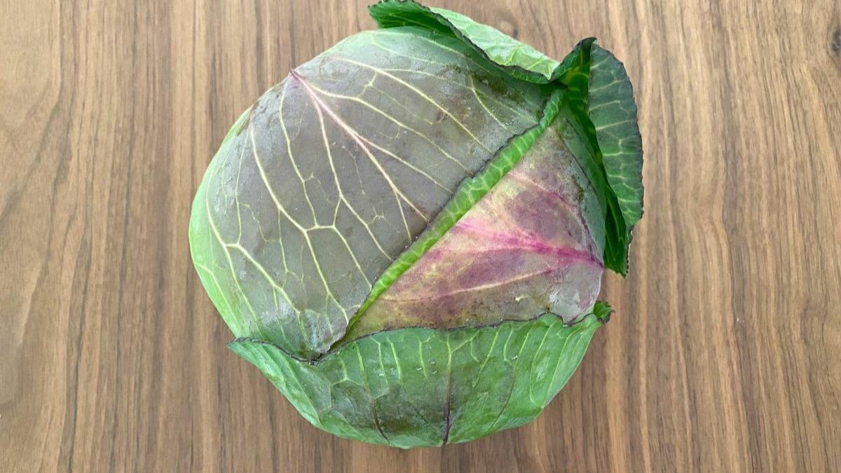 紫キャベツ 赤きゃべつの選び方と保存方法や料理：旬の野菜百科