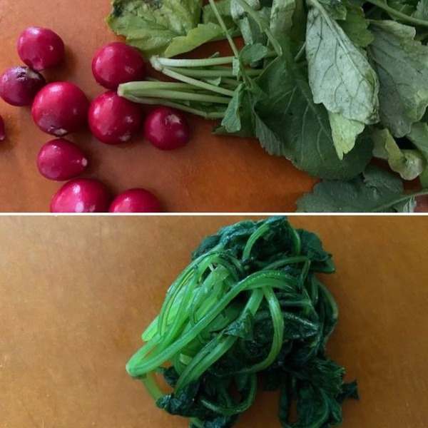 大量収穫したラディッシュの活用＆保存法 枯れ専かーちゃんのベランダ菜園 マイナビ農業