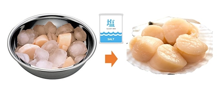 ホタテ片貝冷凍 かに太郎