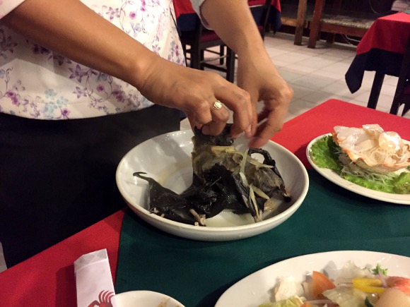 コモ活シリーズ⑥---コウモリは、生態系の守護者コウモリの基礎知識 樹山 瞳