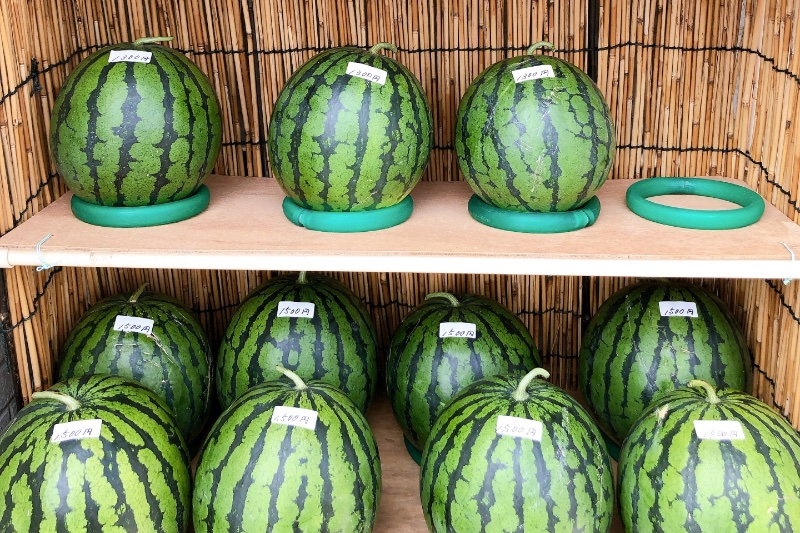 スイカの賞味期限は？半分に切った後・丸ごと別に！日持ちする保存方法も紹介！ どうぞ召し上がれWEBマガジン