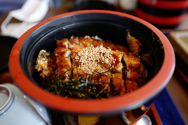 楽天市場 活 うなぎ ウナギ 国産 愛知または静岡産 １kg 1尾 約500g 2Pサイズ 鰻 うなぎ 白焼き 蒲焼き ギフト 鰻 プレゼント お祝い人気 内祝い 誕生日 お中元 御中元 夏ギフト 父の日 うな丼 うな重 ひつまぶし : ラクミマーケット