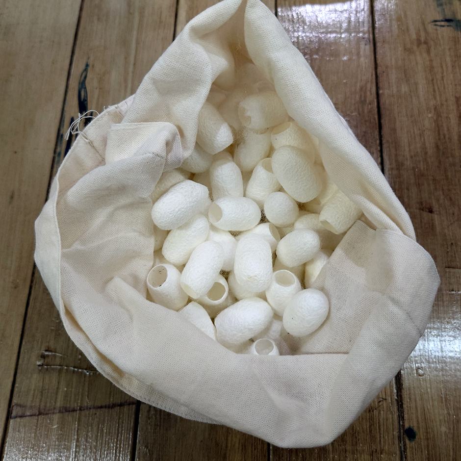 アヒンサーシルクとは。仏教に通じる「不殺生」の想いをこめた絹糸 – 直七法衣店法衣袈裟のお悩みはナオシチへ