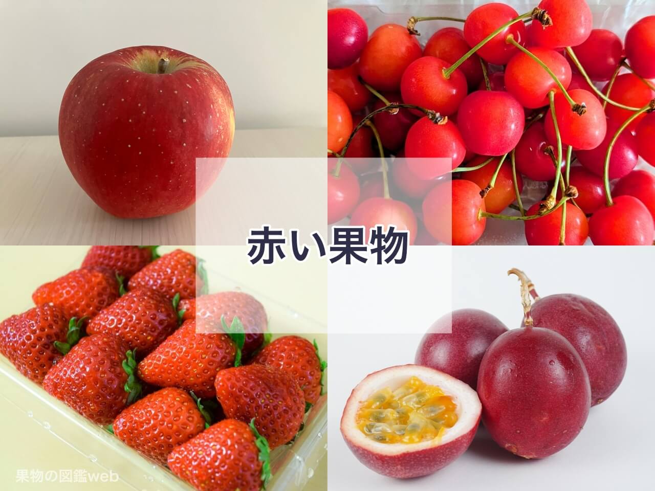 ハツカダイコン 食べ物 新鮮 赤色23795632 の写真素材 - アフロ