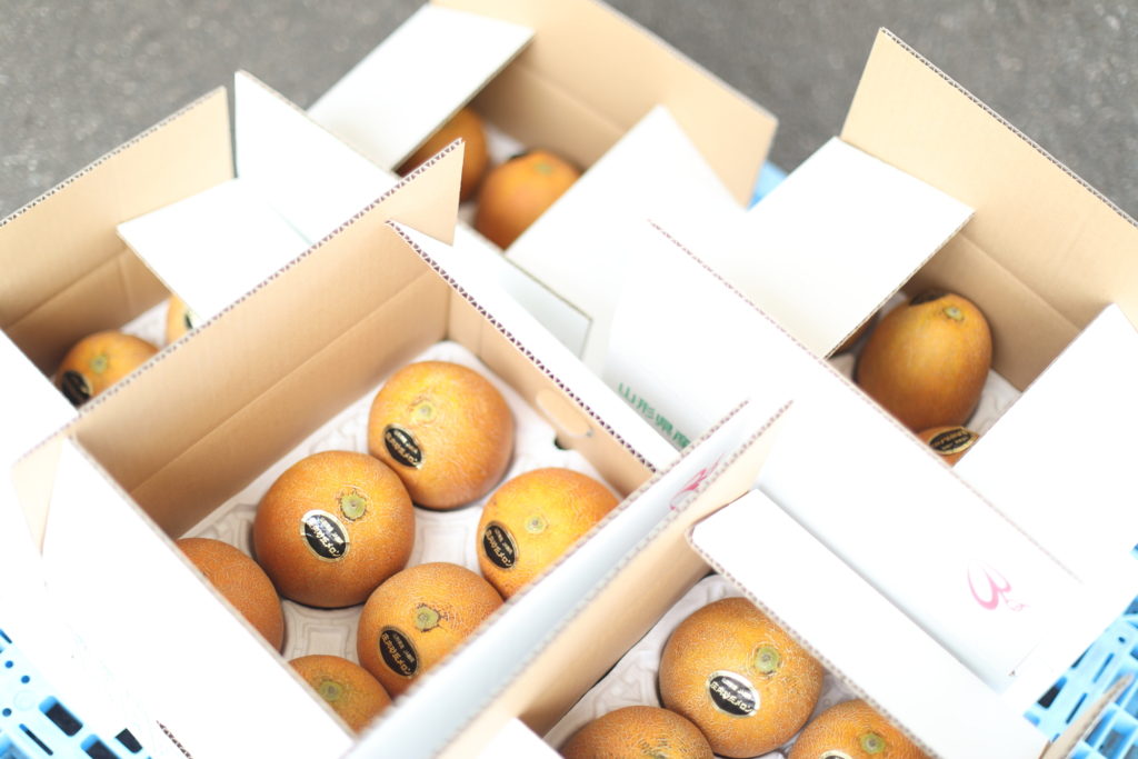 令和7年産先行予約庄内砂丘アンデスメロン 秀品3L～2L 約4.5kg 4～5玉山形県鶴岡産 百万石の里しゃきっと K-739のレビューふるさと納税ランキングふるなび