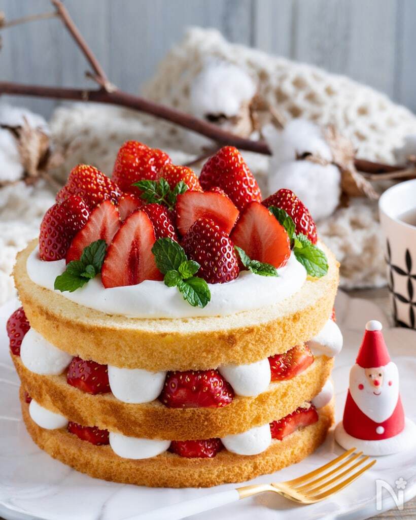 簡単なのにおしゃれ人気ケーキレシピ13選デコレーションのアイデアもチェックHugKum はぐくむ