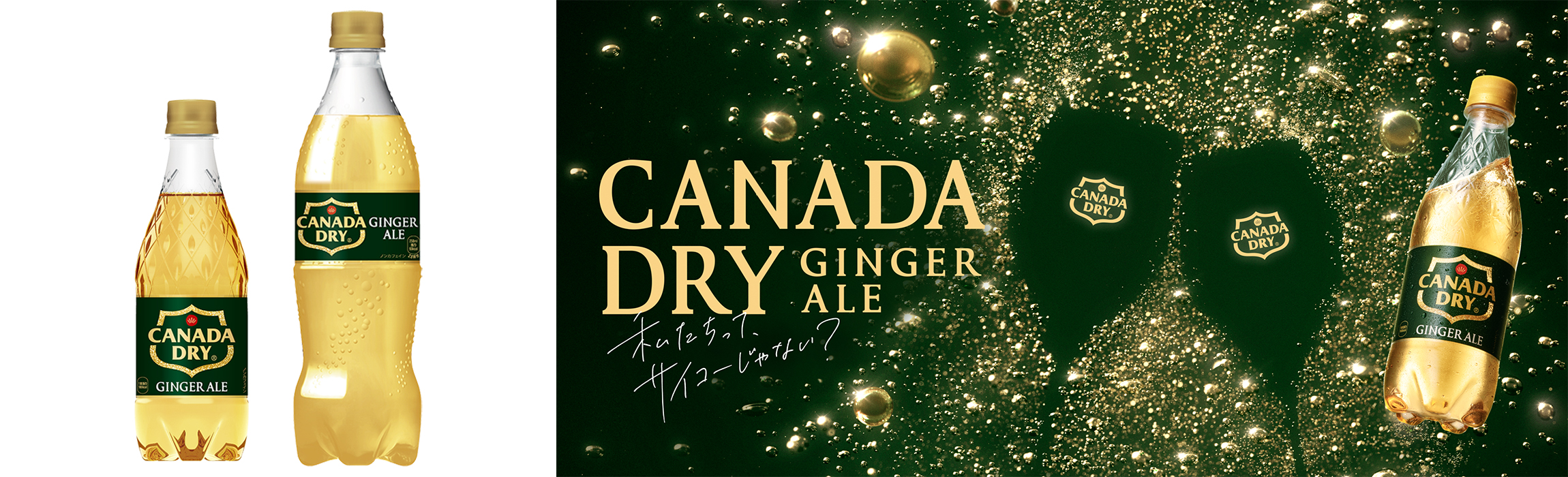カナダドライ ジンジャーエール」はどれぐらいの辛さ？実飲レビュー - ソフトドリンクの鉄人