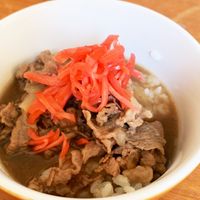 簡単！時短！牛丼 – 富士甚醤油株式会社