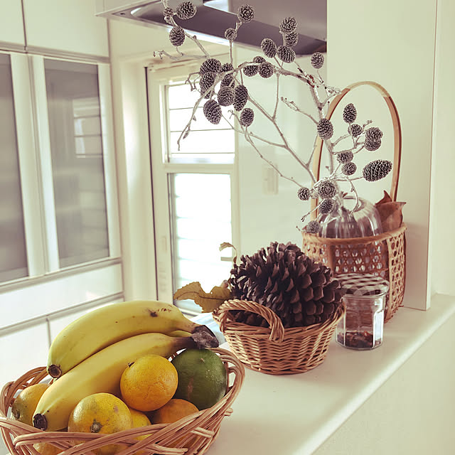 個別「腐りかけたバナナ」の写真、画像 - だいの画像置き場