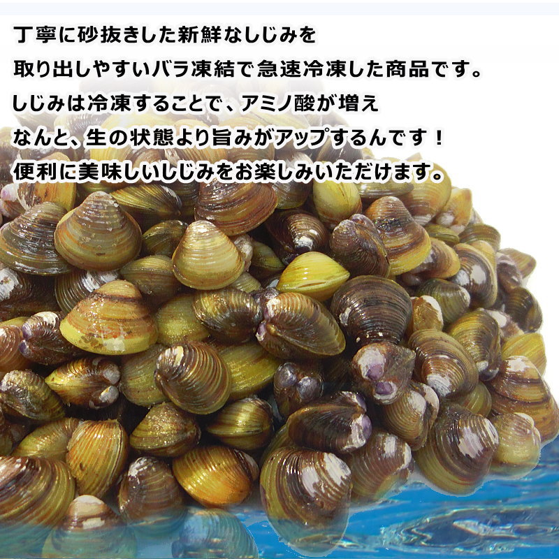 しじみ 冷凍 1kg 殻付き シジミ 蜆 砂抜き済み バラ凍結 味噌汁・殻付しじみ・ : seafoodmax - 通販 - Yahoo!ショッピング
