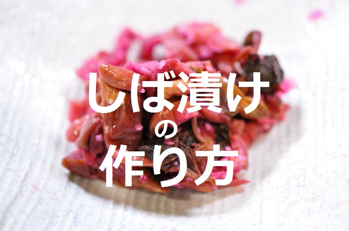 しば漬け １日で漬かる即席柴漬け赤紫蘇で漬けるしば漬け