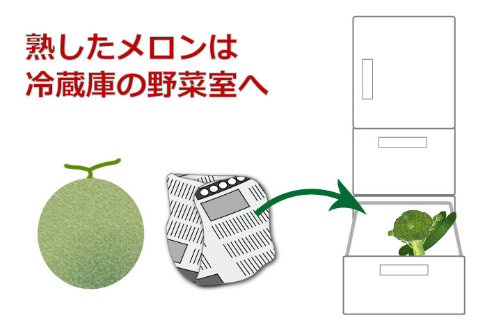 メロンは冷凍保存できる？まずくならない？保存方法やアレンジレシピ3選HANKYU FOODおいしい読み物フード 食品・スイーツ 阪急百貨店公式通販 HANKYU FOOD