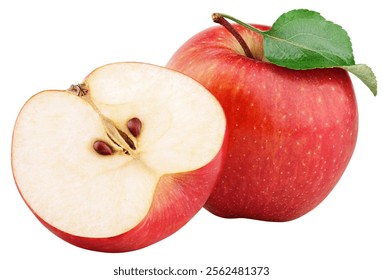 りんご 断面」の8792点のロイヤリティフリー画像、写真素材、絵Shutterstock