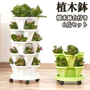 おすすめのイチゴ苗 お庭や花壇、プランター栽培でも育てられます！ 大実イチゴ、宝交早生などメーカー苗もあります。 春植えイチゴは日に当たることで実付きが良くなります。甘くて美味しいイチゴ育てて、お家でイチゴ狩りを楽しみましょう♪苺イチゴイチゴ苗