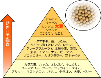 幸せに元気に日々過ごすこと～マクロビオティックフードピラミッド～Cafe Magnolia