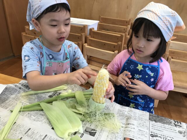 とうもろこしの皮むきにじいろ保育園ブログ