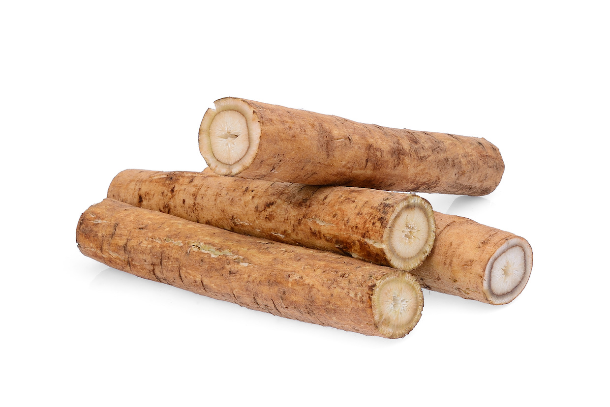 長すぎて冷蔵庫に入らない「ごぼう」の“意外な保存方法”