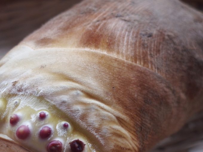 たけのこのアク抜きは意外と簡単！？米ぬかなしの方法もご紹介